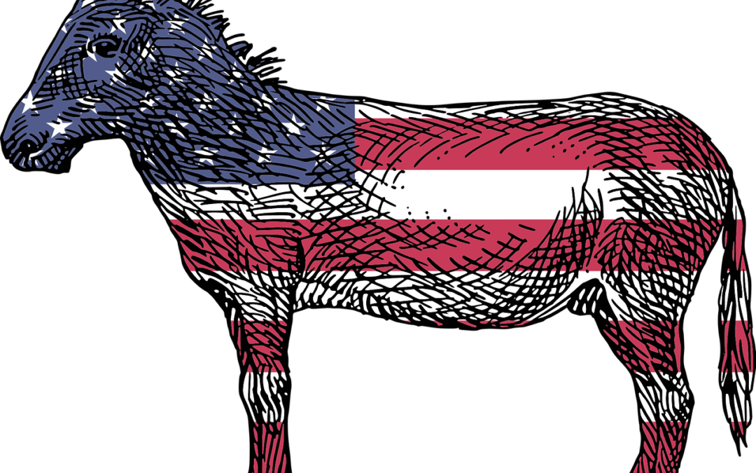 Summit Dems Endorse School Board Candidates